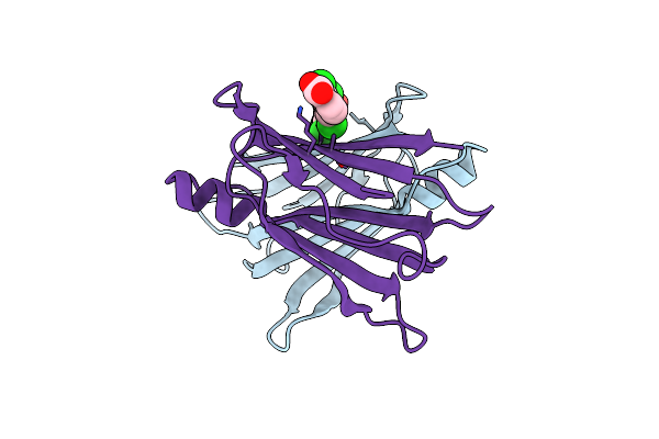 6E77 image