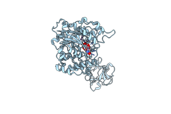 6E7I image