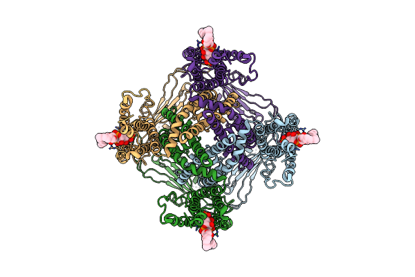 6E7P image