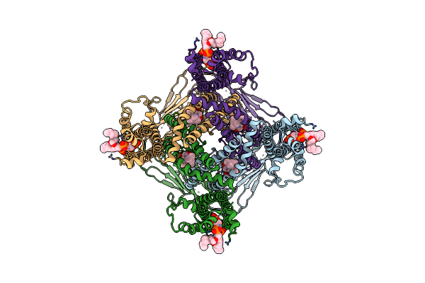 6E7Z image