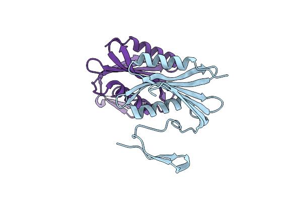 6E8A image