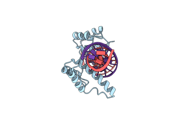 6E8C image