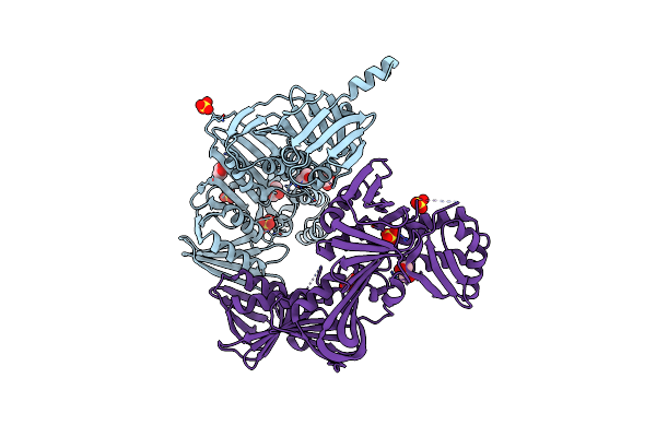 6E8E image