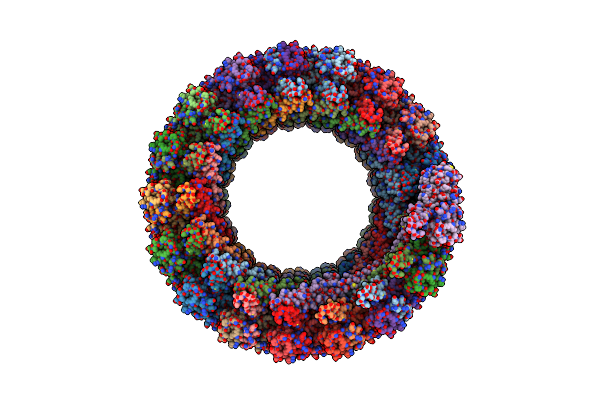 6E8G image