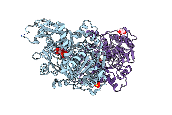 6E8O image