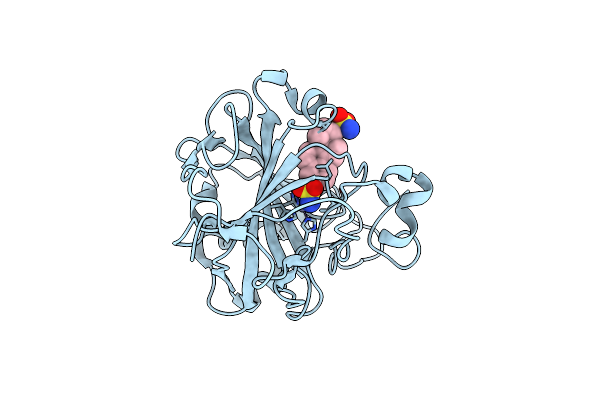 6E8P image