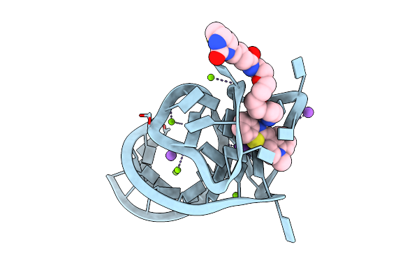 6E8U image