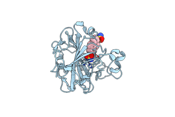 6E8X image
