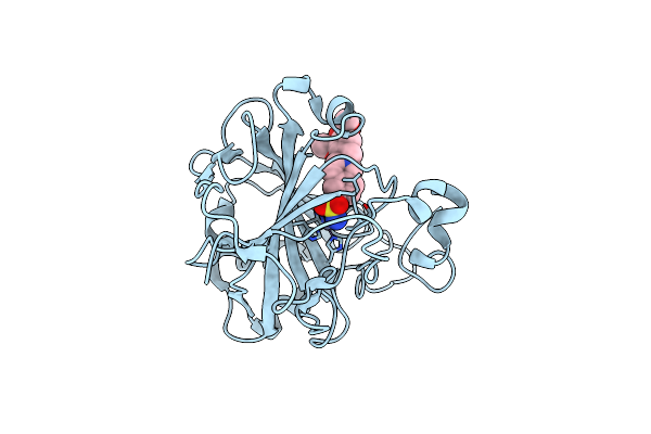 6E92 image