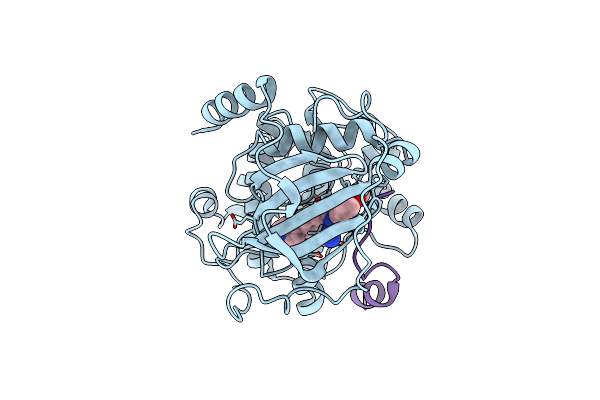 6E99 image