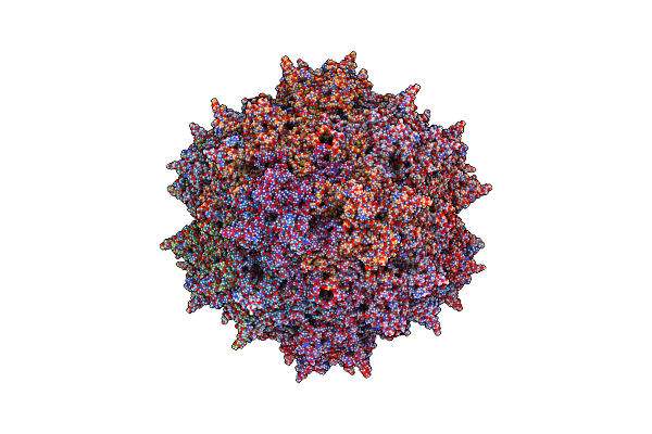 6E9D image