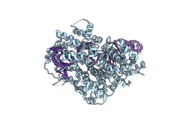 6E9E image