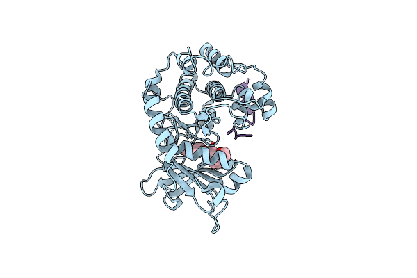 6E9L image