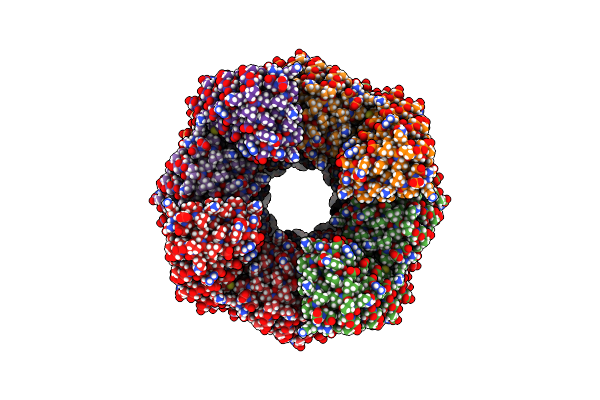 6E9R image