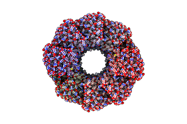 6E9T image