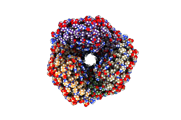 6E9X image
