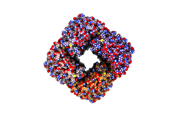 6E9Y image