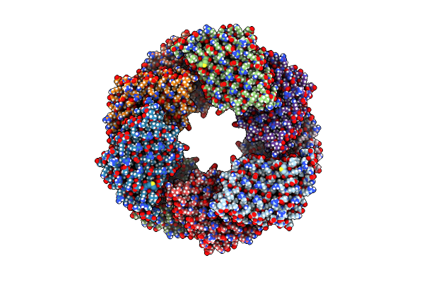 6E9Z image