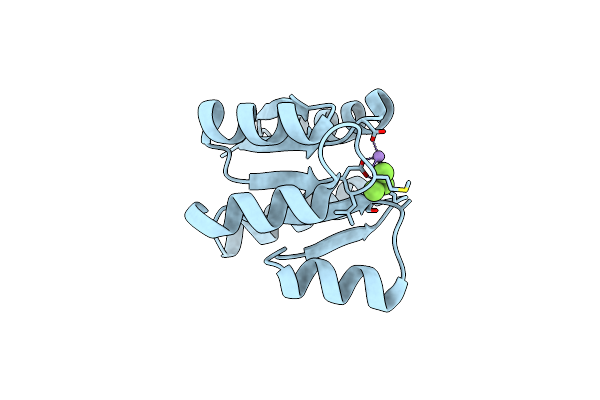 6EBR image