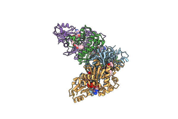 6EBV image