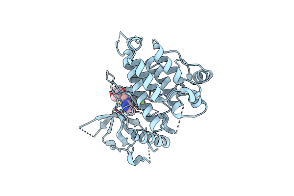 6EBW image