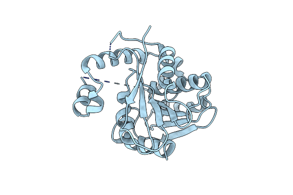 6ECC image
