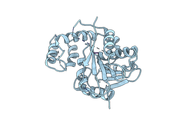 6ECD image