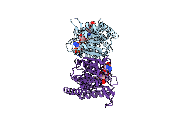 6ECP image