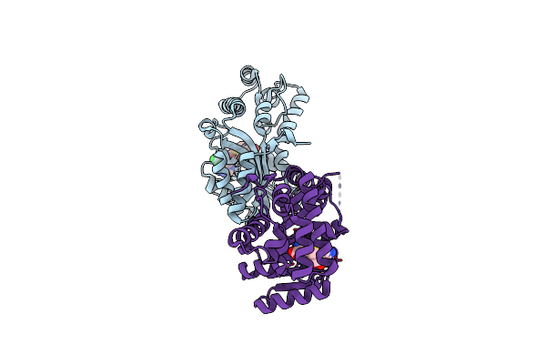 6ECV image