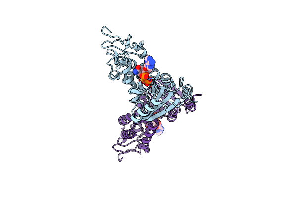 6EDR image