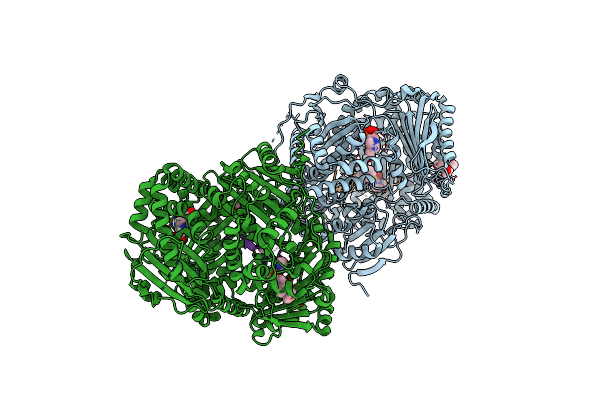 6EDS image