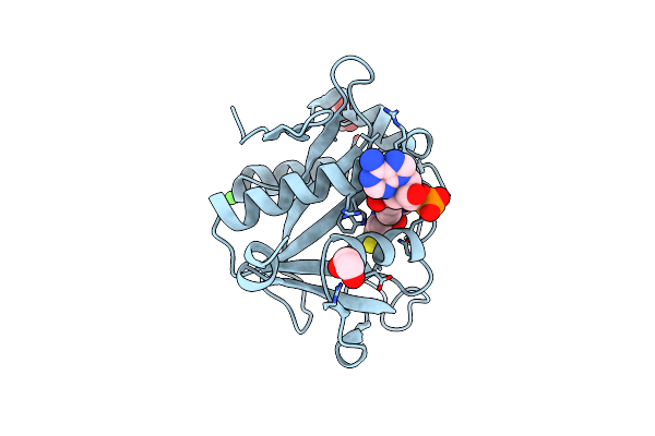 6EDV image