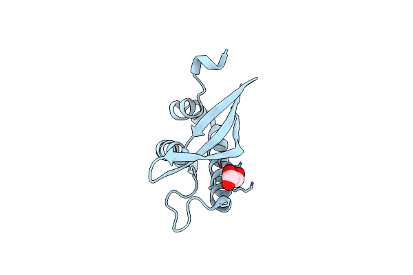 6EDX image