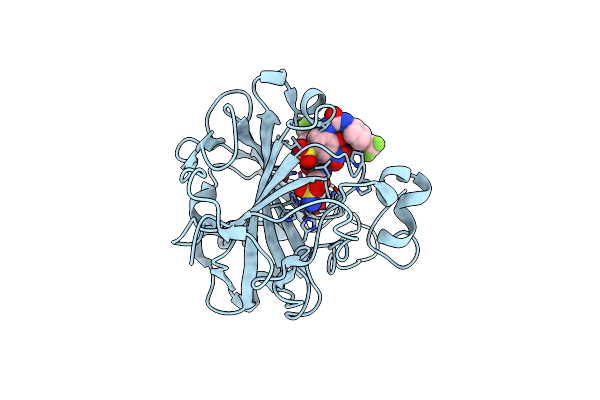6EEA image