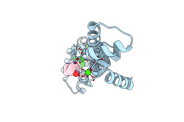 6EEB image
