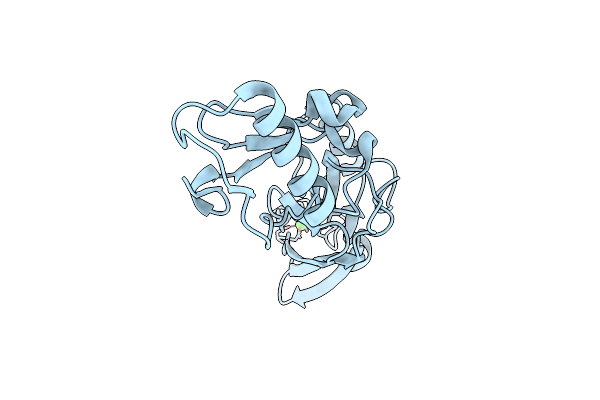 6EFA image
