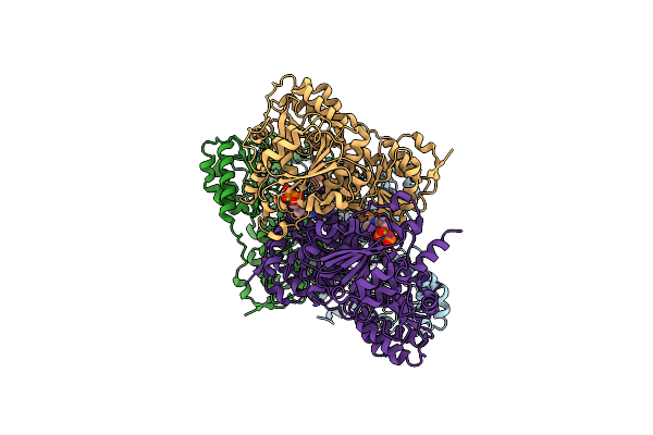 6EFG image