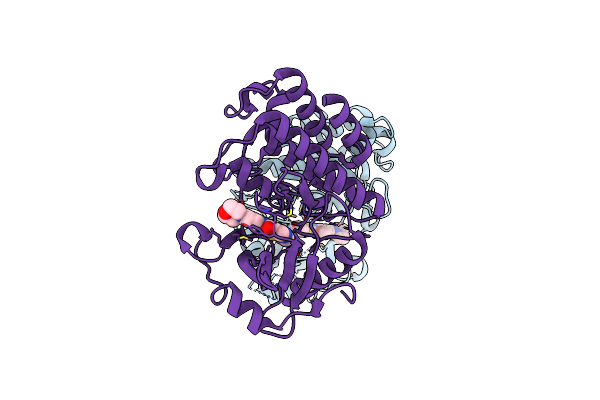 6EGD image