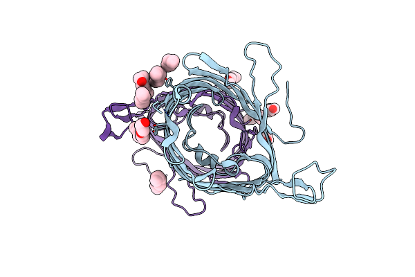 6EHC image