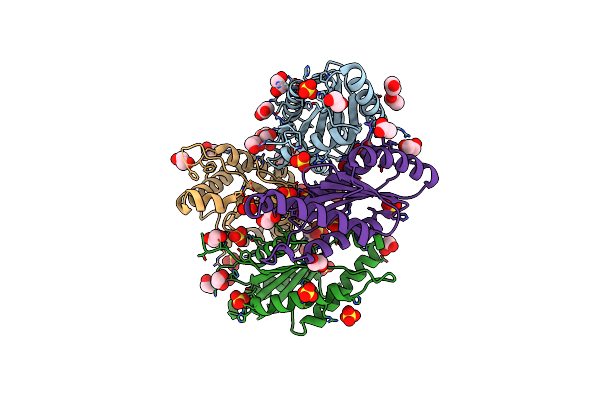 6EIB image