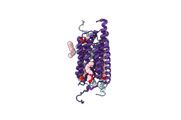 6EIG image