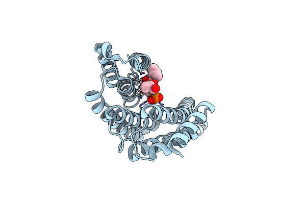 6EIH image