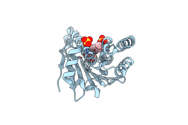 6ELN image