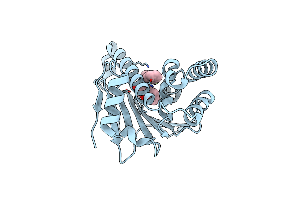 6ELO image