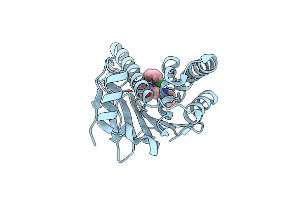 6ELP image