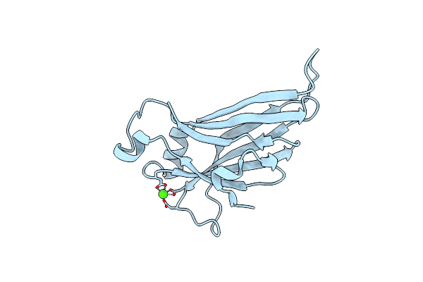 6ELV image