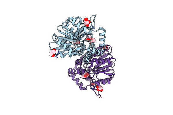 6ELX image