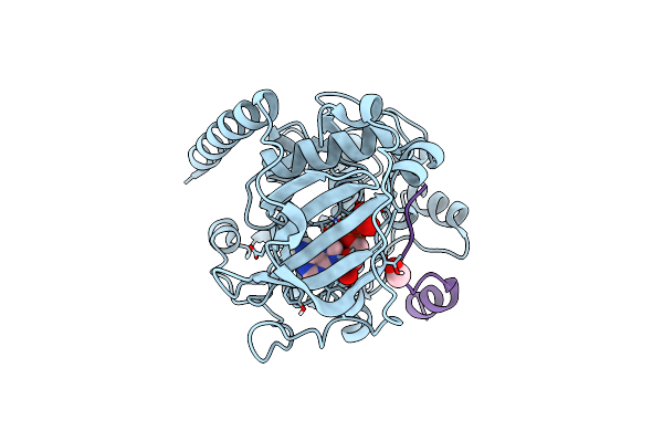 6EM6 image