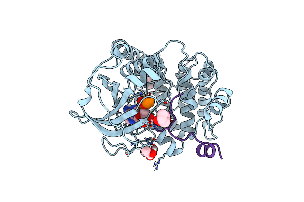 6EM7 image