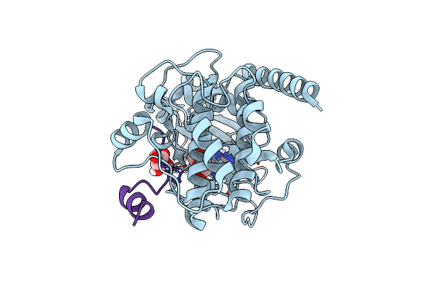 6EMA image